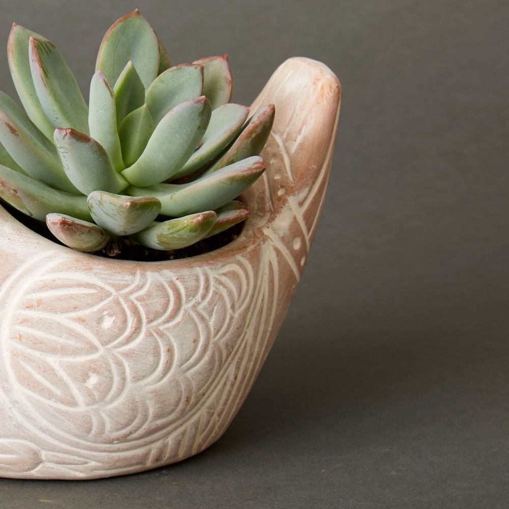 Small Terracotta Bird Pot