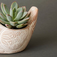 Small Terracotta Bird Pot