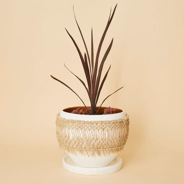 Large Macrame Wrap Terracotta Pot