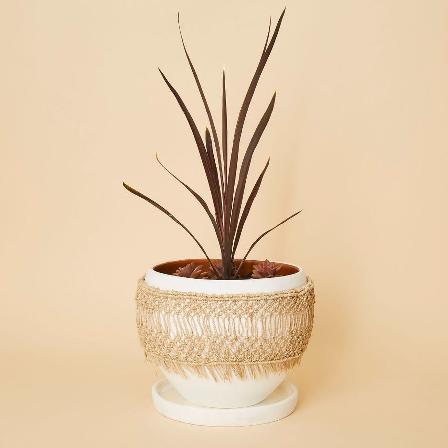 Macrame Wrap Terracotta Pot Set