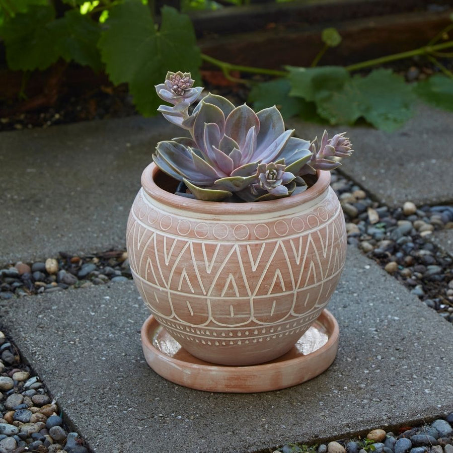 Medium Terracotta Belly Pot Saucer