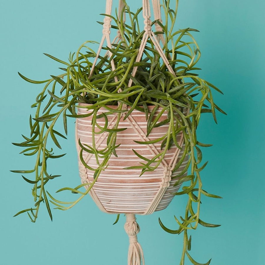 Macrame Terracotta Pot Hanging Set