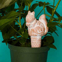 Snail Squirrel Terracotta Watering Stake Set