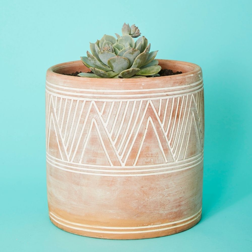 Cylindrical Terracotta Pot Set