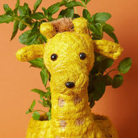 Giraffe Coir Succulent Planter