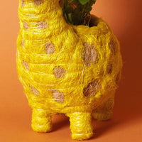 Giraffe Coir Succulent Planter