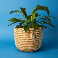 14" Small Grass Ribbon Planter Shelf Basket Set of 3