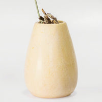 Kisii Stone White Short Bud Vase Succulent Pot