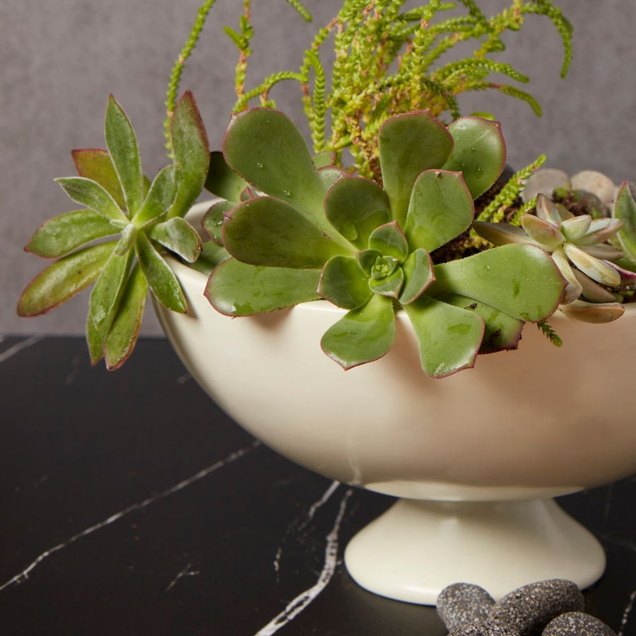 Kisii Soapstone Round Pedestal Succulent Bowl Pot