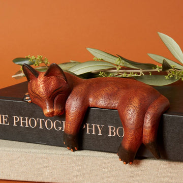 Brown Sleeping Shelf Cat