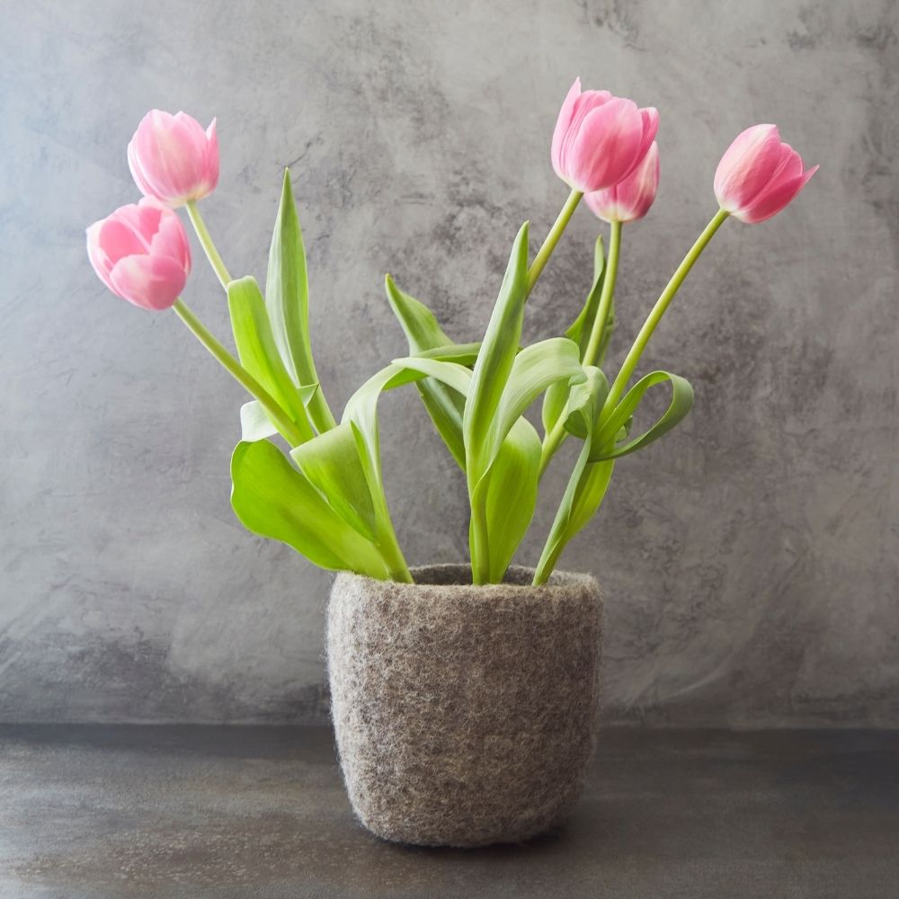 Grey Felt Succulent Planter