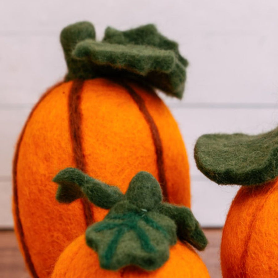Felt Fall Pumpkins with Vine Set of 3