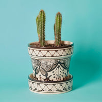 Black Arabesque Ceramic Planter Set
