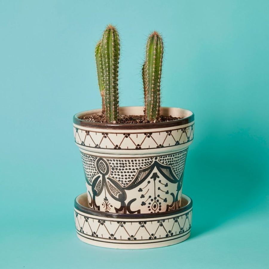 Black Arabesque Ceramic Planter Set