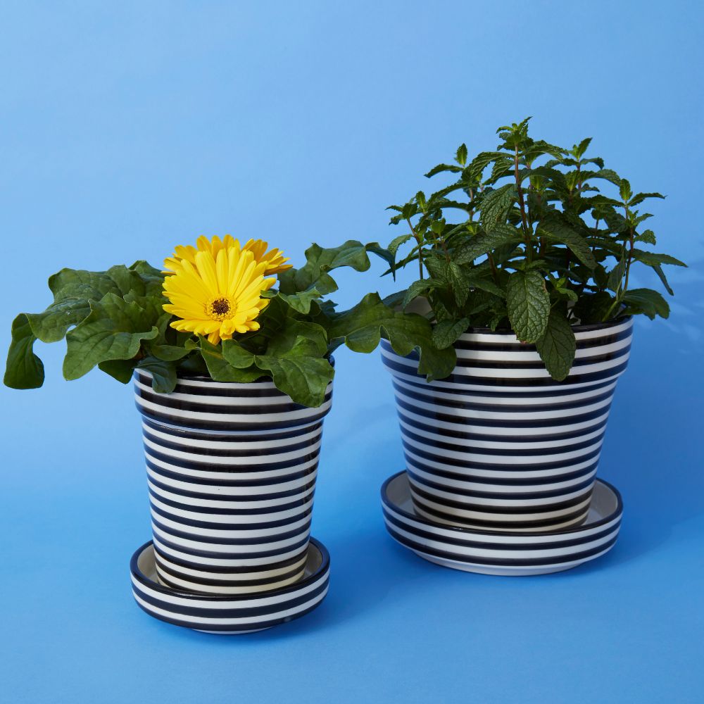 Black Striped Ceramic Large Planter