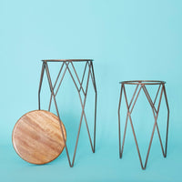 Tall Iron Wire Plant Stand Set