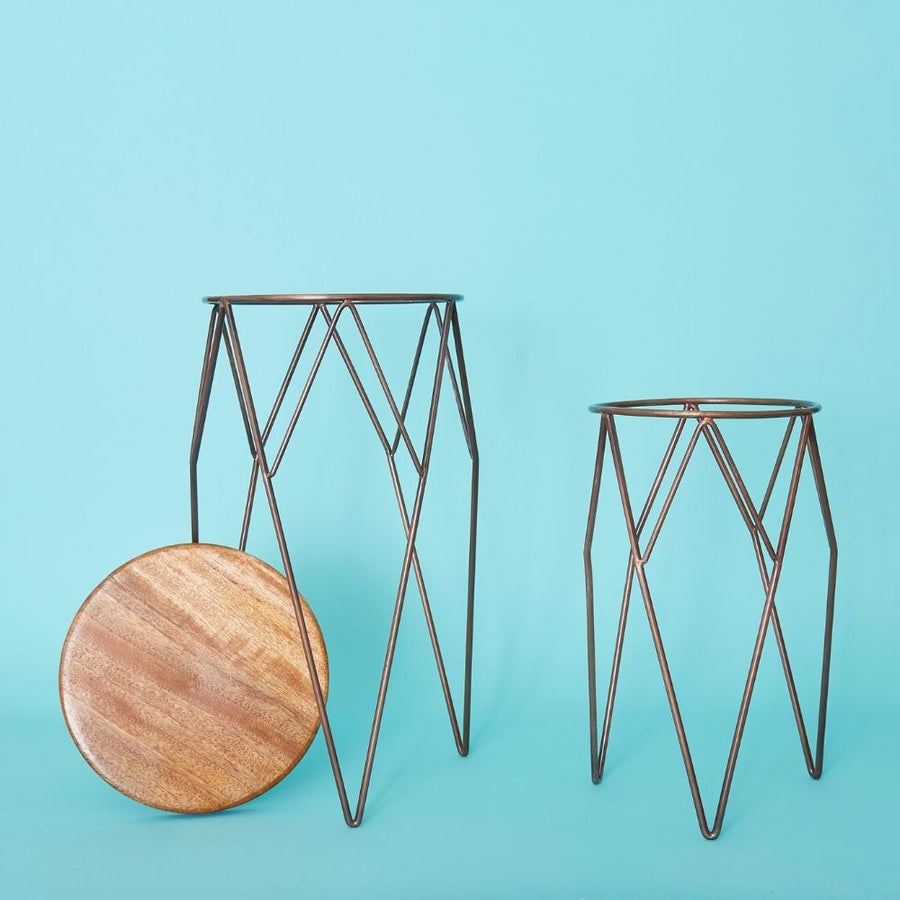 Tall Iron Wire Plant Stand Set