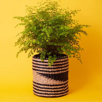 10" Small Geometric Seagrass Planter Shelf Basket