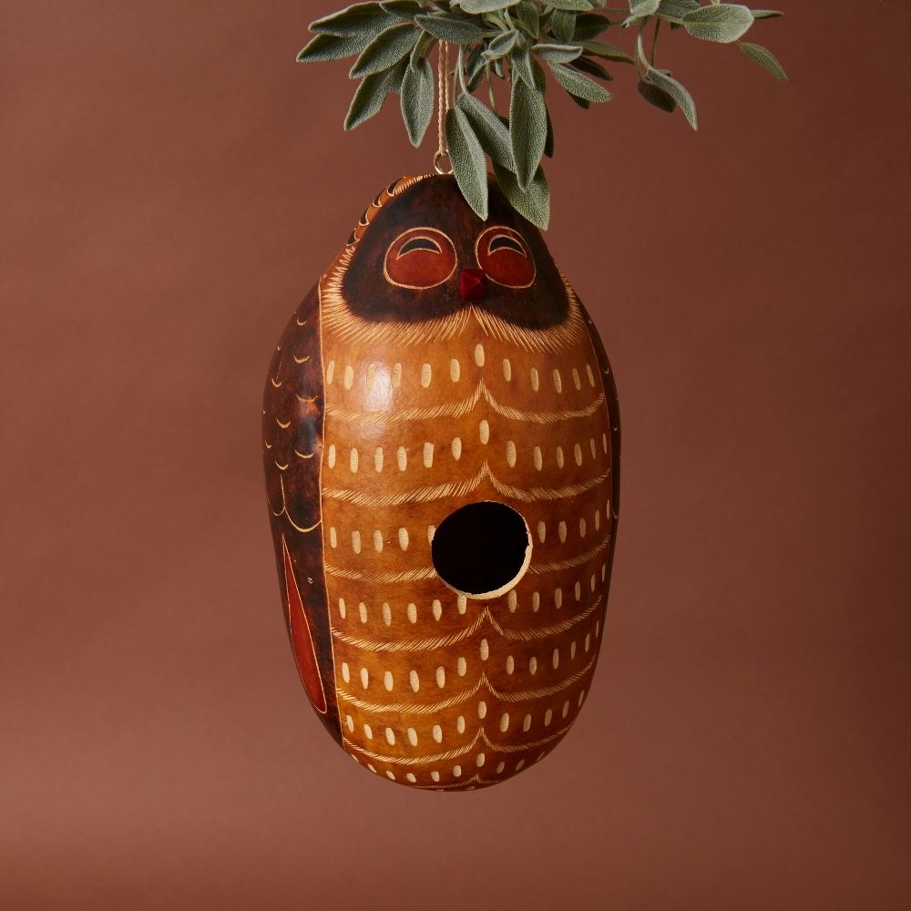 Owl Gourd Bird House