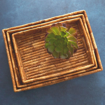 Banana Leaf Fruit Bread Office Rectangle Tray Set