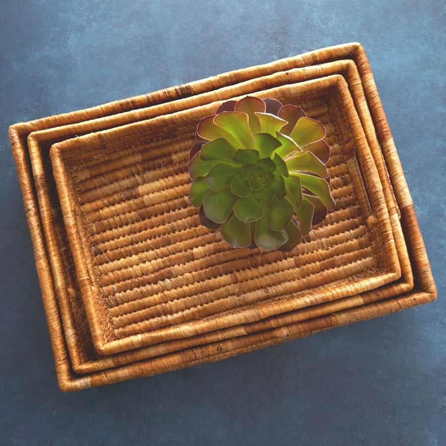 Banana Leaf Fruit Bread Office Rectangle Tray Set