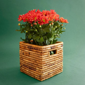 Small Banana Square Planter Shelf Basket