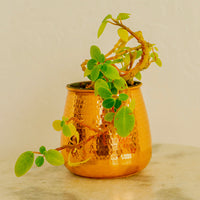 Small Hand Hammered Copper Succulent Pot