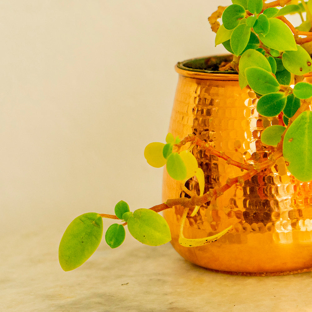 Small Hand Hammered Copper Succulent Pot